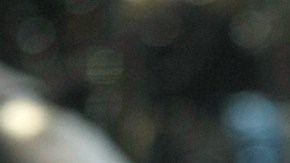 Luis Miguel canceló algunas actuaciones recientes por problemas de garganta, pero la cantante Marisela cree que la verdadera razón es otra.