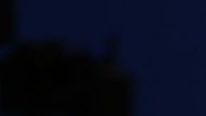 Marco Rubio quien perdió mucho terreno en New Hampshire, dijo a sus seguidores: "yo soy responsable, pero no volverá a ocurrir". Foto: Win McNamee/Getty Images