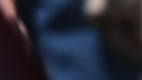 De acuerdo al Southern Poverty Law Center (SPLC),  en 2016 había 892 grupos de odio. /Getty Images