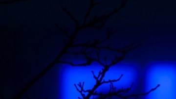 A la FIFA le urge una refundación y un saneamiento total de su imagen ¿Se dará?