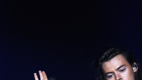 Fuentes cercanas a Harry Styles y Kendall Jenner han asegurado que la relación de los jóvenes no es oficial y que, de momento, son sólo buenos amigos.