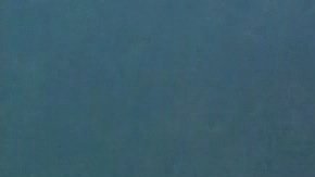 Los espectadores en la Bahía de Toyama tuvieron el privilegio de ser testigos de este singular avistamiento.