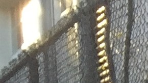 Una multitud de profesores, estudiantes y padres de familia se unieron en protesta en defensa de las escuelas públicas de Los Ángeles.