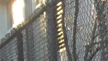 Una multitud de profesores, estudiantes y padres de familia se unieron en protesta en defensa de las escuelas públicas de Los Ángeles.