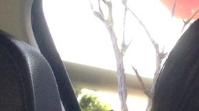 Cristina Cardona, de El Salvador, recibió una licencia de manejo en mayo y desde entonces no teme a la Policía.