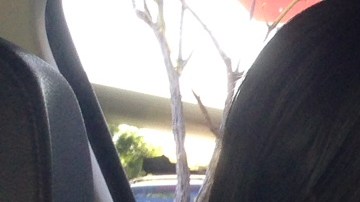 Cristina Cardona, de El Salvador, recibió una licencia de manejo en mayo y desde entonces no teme a la Policía.