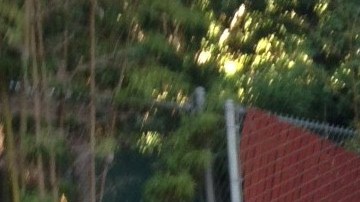 Flor González es una de las presuntas afectadas por el dispositivo de anticoncepción Essure.