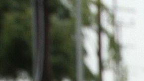 Dos agentes del LAPD son acusados de violar a cuatro mujeres. /AURELIA VENTURA