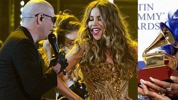 Pitbull, Sofía Vergara, Celia Cruz y Lin-Manuel Miranda participaron en los Premios Grammy 2016 pero no todos gustaron al público.