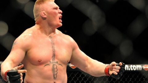 Brock Lesnar opinó sobre las declaraciones de Ronda Rousey.