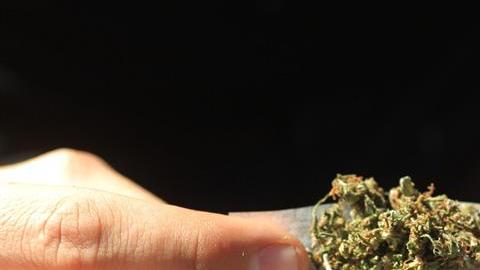 Los inmigrantes latinos en Estados Unidos son el grupo que menos favorece la legalización de la mariguana.