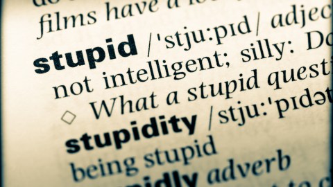 estupidez