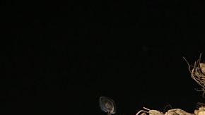 Personal de rescate  saca a un superviviente de un edificio derrumbado en Tainan tras un fuerte terremoto de 6,4 grados que sacudió Taiwán.