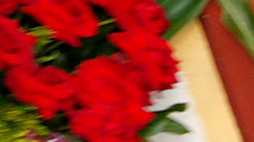 Este Día de Los Enamorados, el Distrito de las Flores en Los Ángeles se esmera.