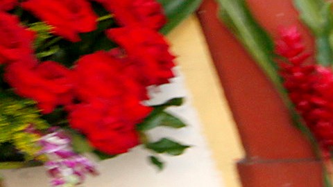Este Día de Los Enamorados, el Distrito de las Flores en Los Ángeles se esmera.