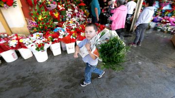 Este Día de Los Enamorados, el Distrito de las Flores en Los Ángeles se esmera.