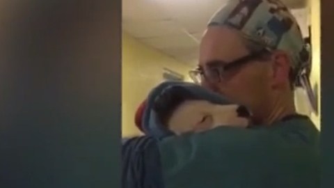 veterinario viral perro operacion