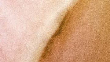 Los mosquitos "Aedes aegypti" son transmisores del virus del Zika y el dengue.