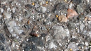 Los jóvenes entre los 15 y 25 años representan la mayor cantidad de víctimas de la violencia por armas de fuego. (Foto Aurelia Ventura/La Opinion)