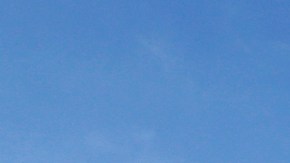 Tanto el LAPD como la Policía de Anaheim llevan a cabo un investigación. (Imagen de archivo).