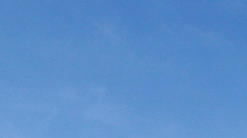 Tanto el LAPD como la Policía de Anaheim llevan a cabo un investigación. (Imagen de archivo).