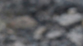 Matan a madre e hija en Ciudad Juárez