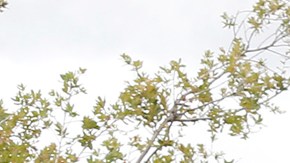 La agresión tuvo lugar en una estación de Metro de la línea Dorada