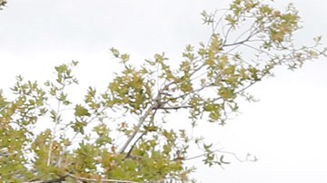 La agresión tuvo lugar en una estación de Metro de la línea Dorada