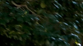 Decenas de padres y activistas de la comunidad se dieron cita en el concilio para apoyar los programas.