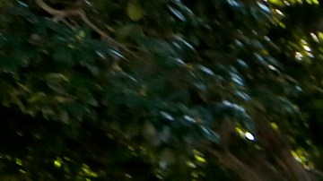 Decenas de padres y activistas de la comunidad se dieron cita en el concilio para apoyar los programas.