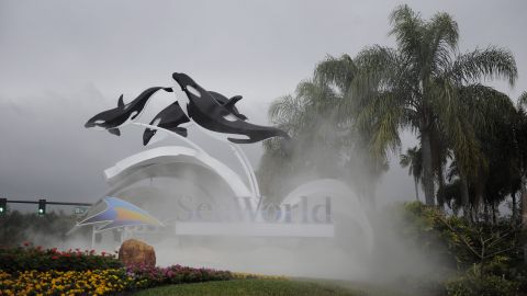 SeaWorld