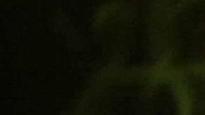 Un tití pigmeo del Parque Nacional Natural Amacayacu, en Colombia.