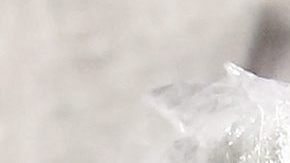 DEPARTAMENTO DE NARCOTRÁFICO DE TUCKER