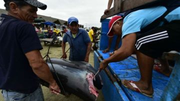 Los pescadores de América Latina se están viendo afectados por la pesca ilegal.