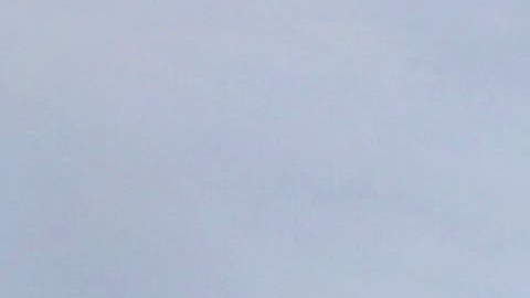 Miles de Inmigrantes abarrotaron las calles de Los Ángeles en el 2006 para pedir una reforma migratoria y protestar contra una ley (hr 4437) que criminalizaba a los inmigrantes.