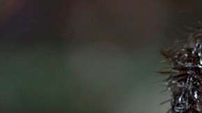 Ángel Reyna, un buen jugador opacado por sus propios conflictos.