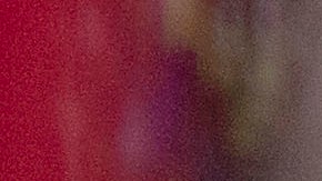 Los reclamos de Chivas sobre el árbitro Fernando Guerrero tras la anulación del gol de Isaac Brizuela.