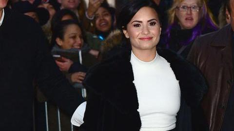 Demi ha dejado claro que no está dispuesta a tolerar faltas de respeto de sus admiradores.
