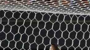 Los Pumas van viento en popa en la Copa Libertadores.