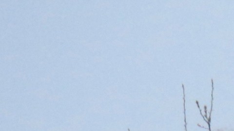 Agentes municipales resguardan la zona donde fueron localizados diez toneles con restos humanos descuartizados y rociados con ácido en el municipio de San Andrés Calpan, en el estado de Puebla, México.