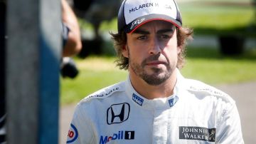 Fernando Alonso, piloto de McLaren