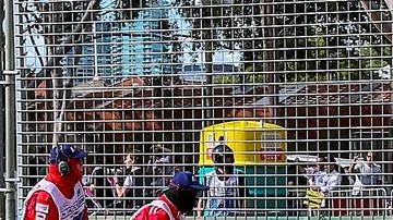 Accidente de Fernando Alonso