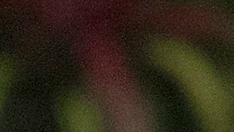 El controvertido exalcalde Ford, cuya carrera estuvo plagada de escándalos por su abuso del alcohol y las drogas, falleció hoy, a los 46 años debido a un cáncer.