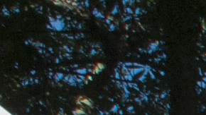 ACTIVISTAS PROTESTAN EN ARIZONA CONTRA CINCO PROPUESTAS DE LEY ANTIINMIGRANTE