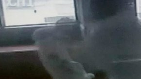 El abusador luchó con el gato para que no se le escapara.