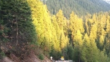 Un puente de la Carretera 3 en el norte de California se derrumbó.