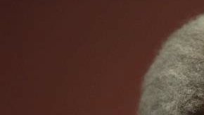 Lamine Diack será investigado por tráfico de influencias.