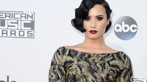 Demi ha animado a la gente para poder enfrentar sus adicciones.