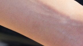 El 62% de los usuarios no entiende la diferencia de los estándares de seguridad./Shutterstock