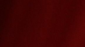 Una mujer coloca flores en la calle donde ocurrió el ataque terrorista.